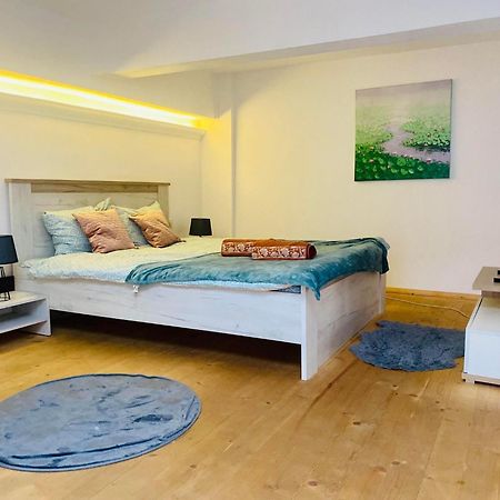 The Central Apartament Lejlighed Cluj-Napoca Eksteriør billede