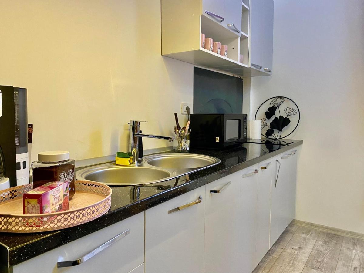 The Central Apartament Lejlighed Cluj-Napoca Eksteriør billede